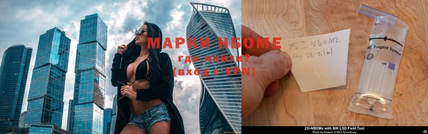 гашик Дмитриев