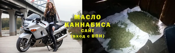 сатива Горняк