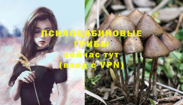 mdma Горнозаводск