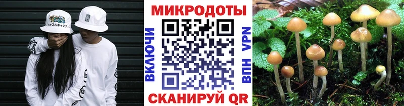 Псилоцибиновые грибы Cubensis  Дубовка 