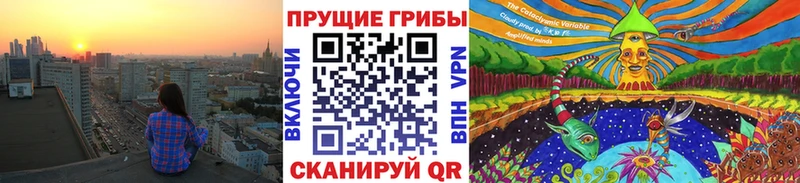 Псилоцибиновые грибы Psilocybine cubensis Дубовка